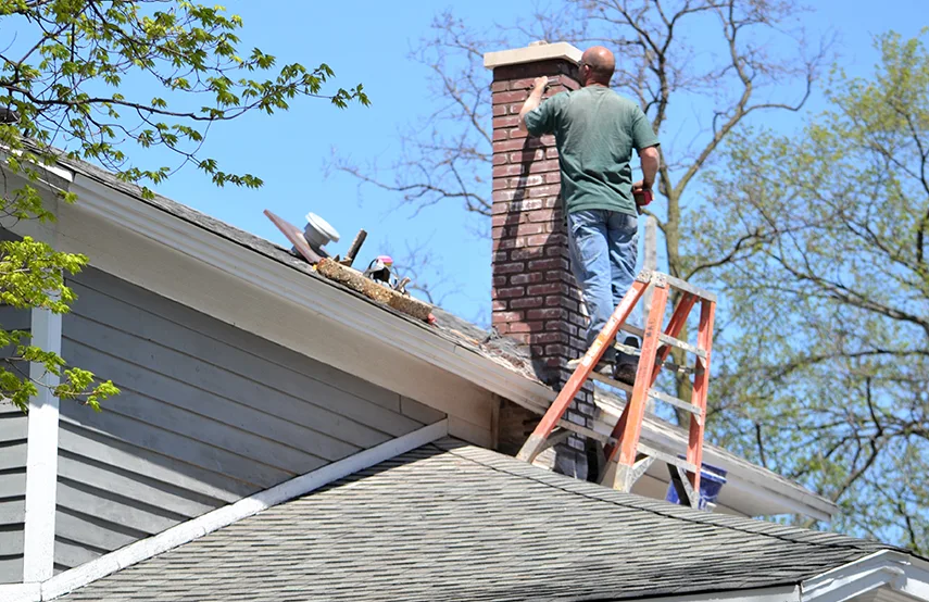 Chimney & Fireplace Inspections Services in St. Cloud, MN